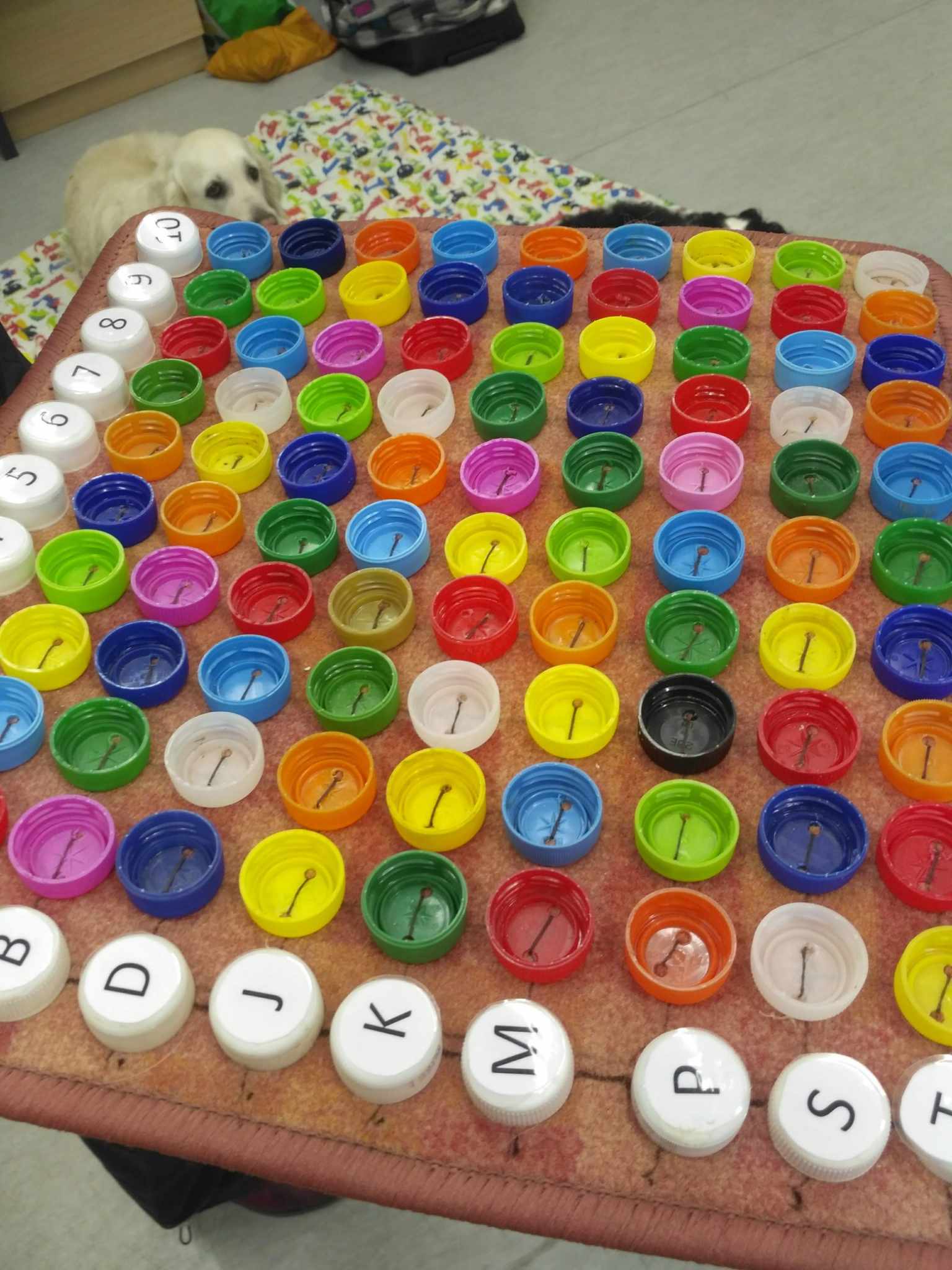 494888582_23951898564427896_2224782976746057499_n