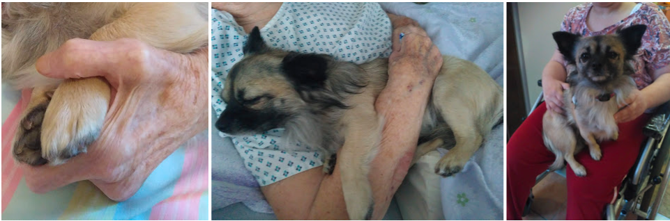 Snímek obrazovky 2025-05-14 104832