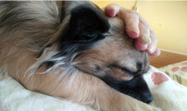 Snímek obrazovky 2025-05-14 104853