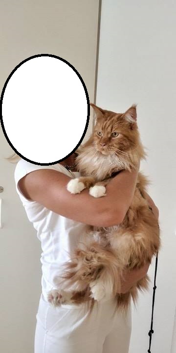 21744534_1478041128900085_846893310_n