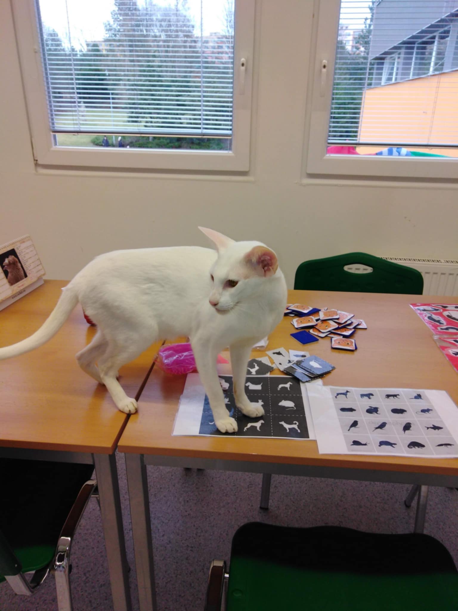 855c6e91-e940-4131-8c74-d144198f072f