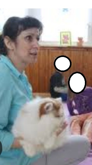 Screenshot_20250417_115140