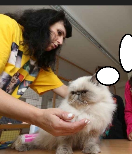 Screenshot_20250417_115222