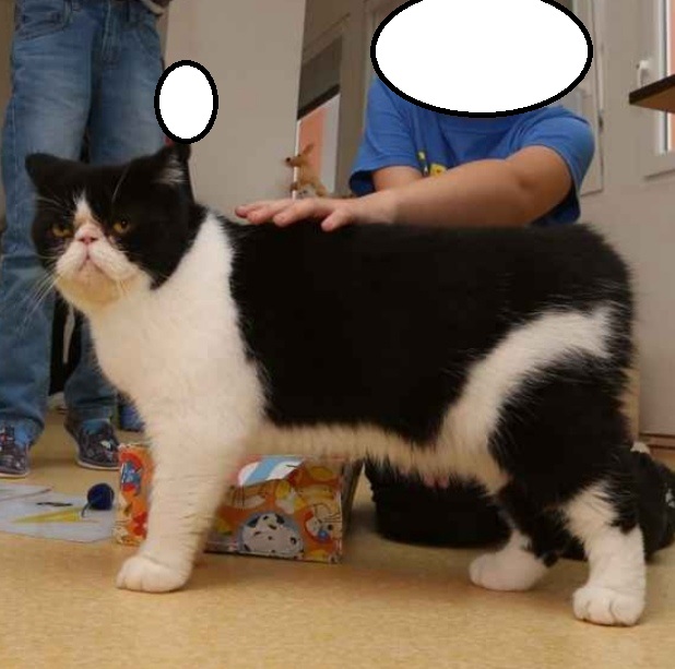 Screenshot_20250417_115245