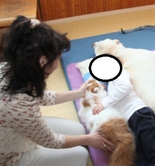 Screenshot_20250417_115313