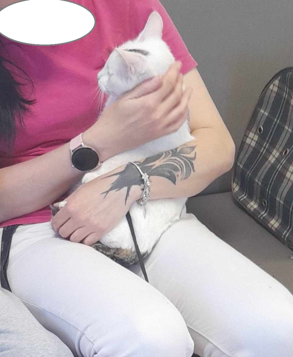 494820658_574639042308335_2845095078187873914_n (1)