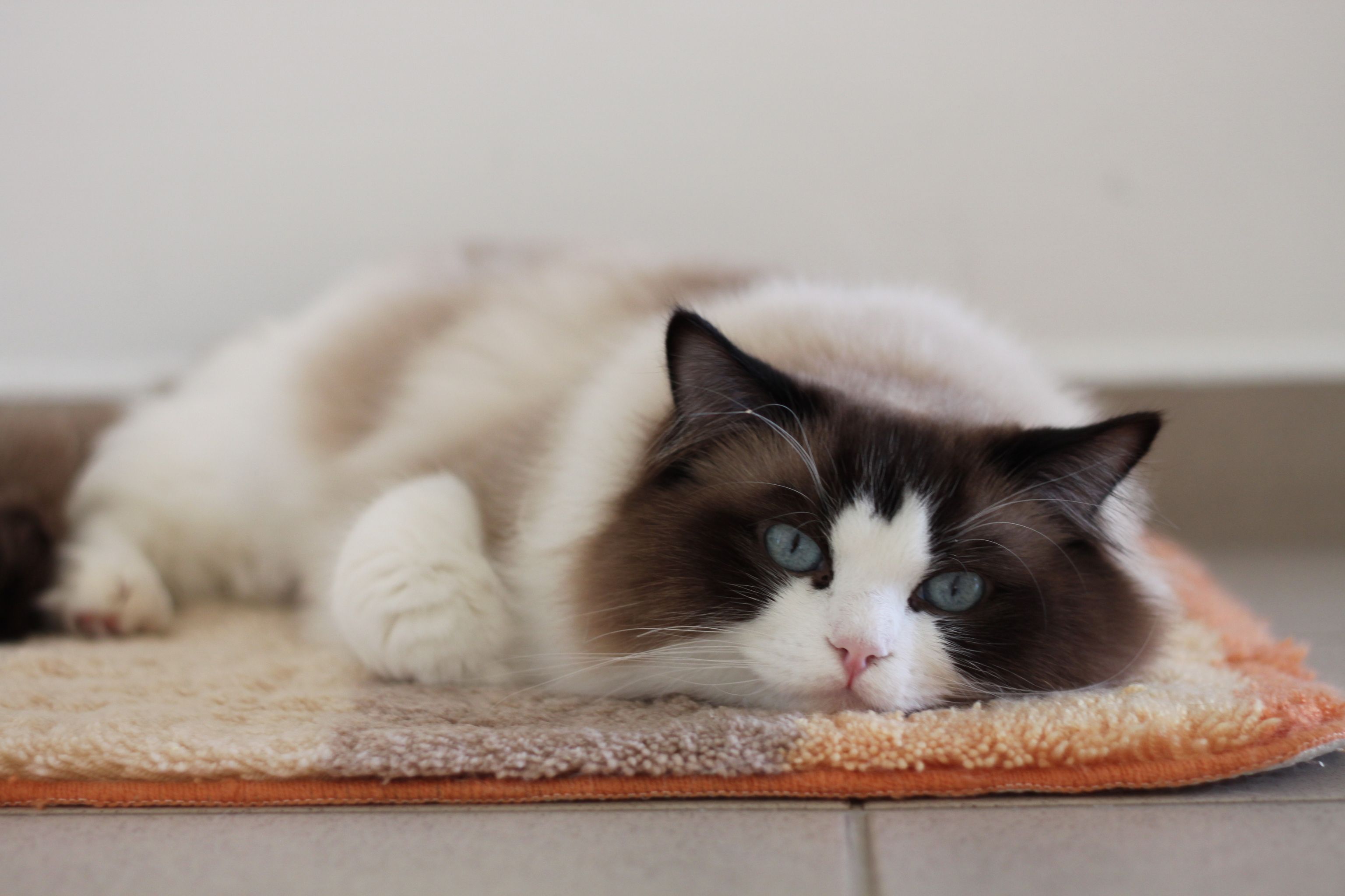 380057973_1373164243638505_6292795191572280412_n