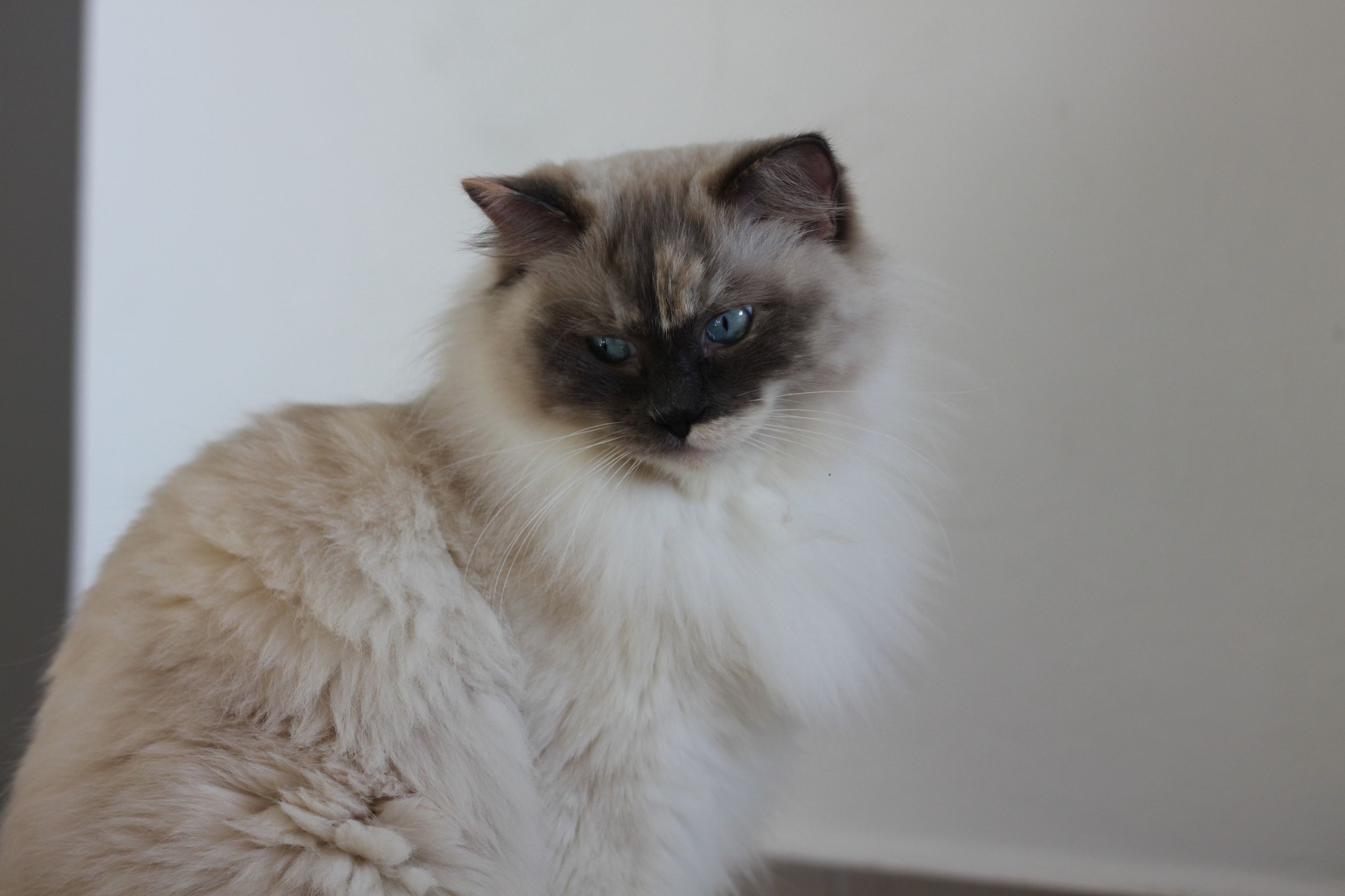 380065641_1033744124740328_4476113739680239997_n