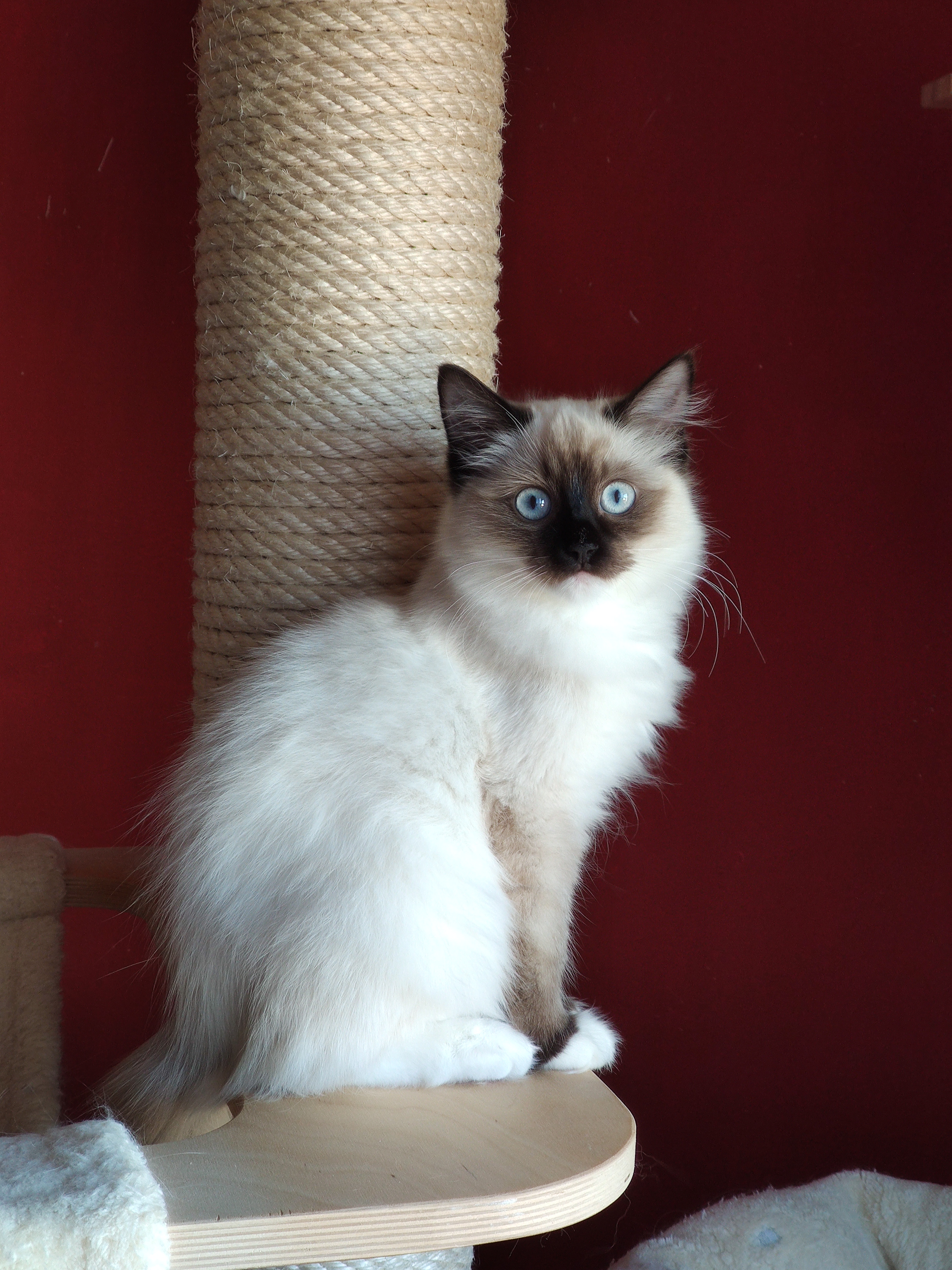 380122876_729983238943325_5580167650952805865_n