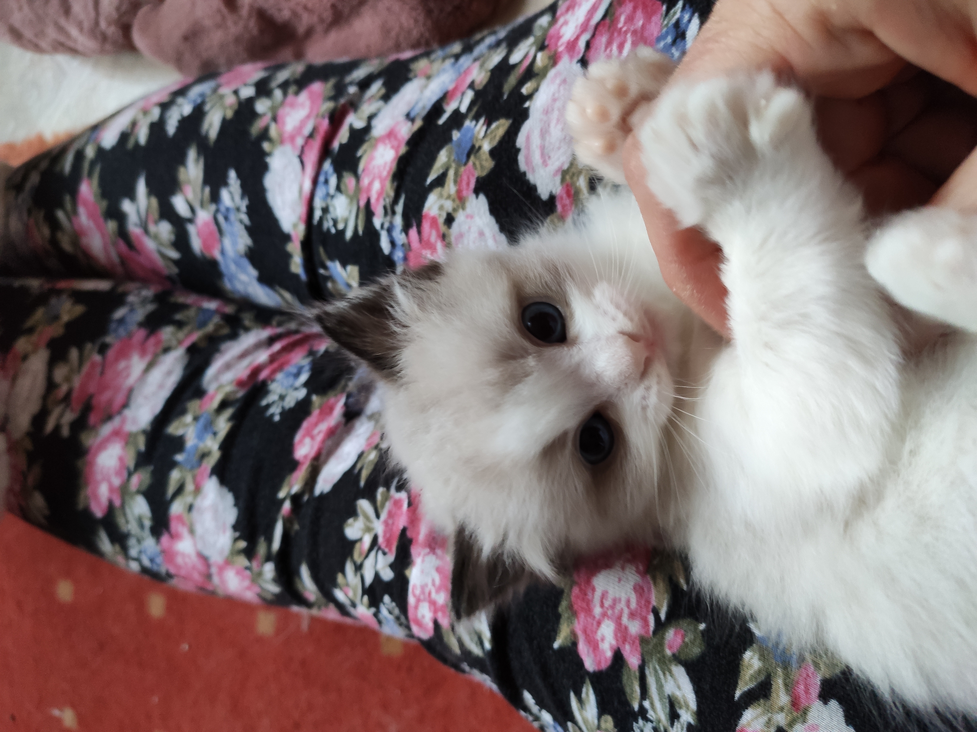 380148892_626931966040778_4247756210714120418_n