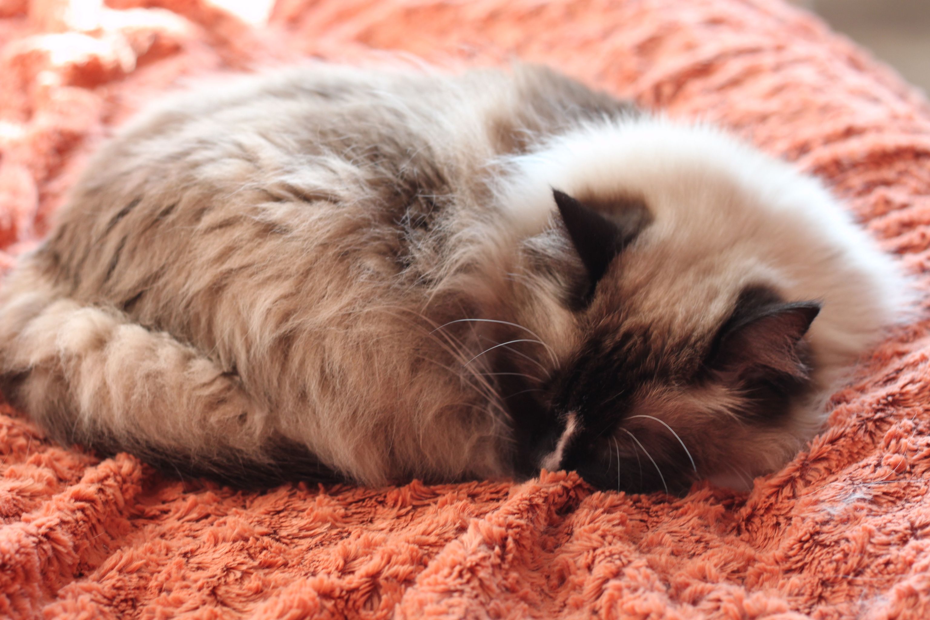 380304331_1313541315965267_6803794424571065714_n