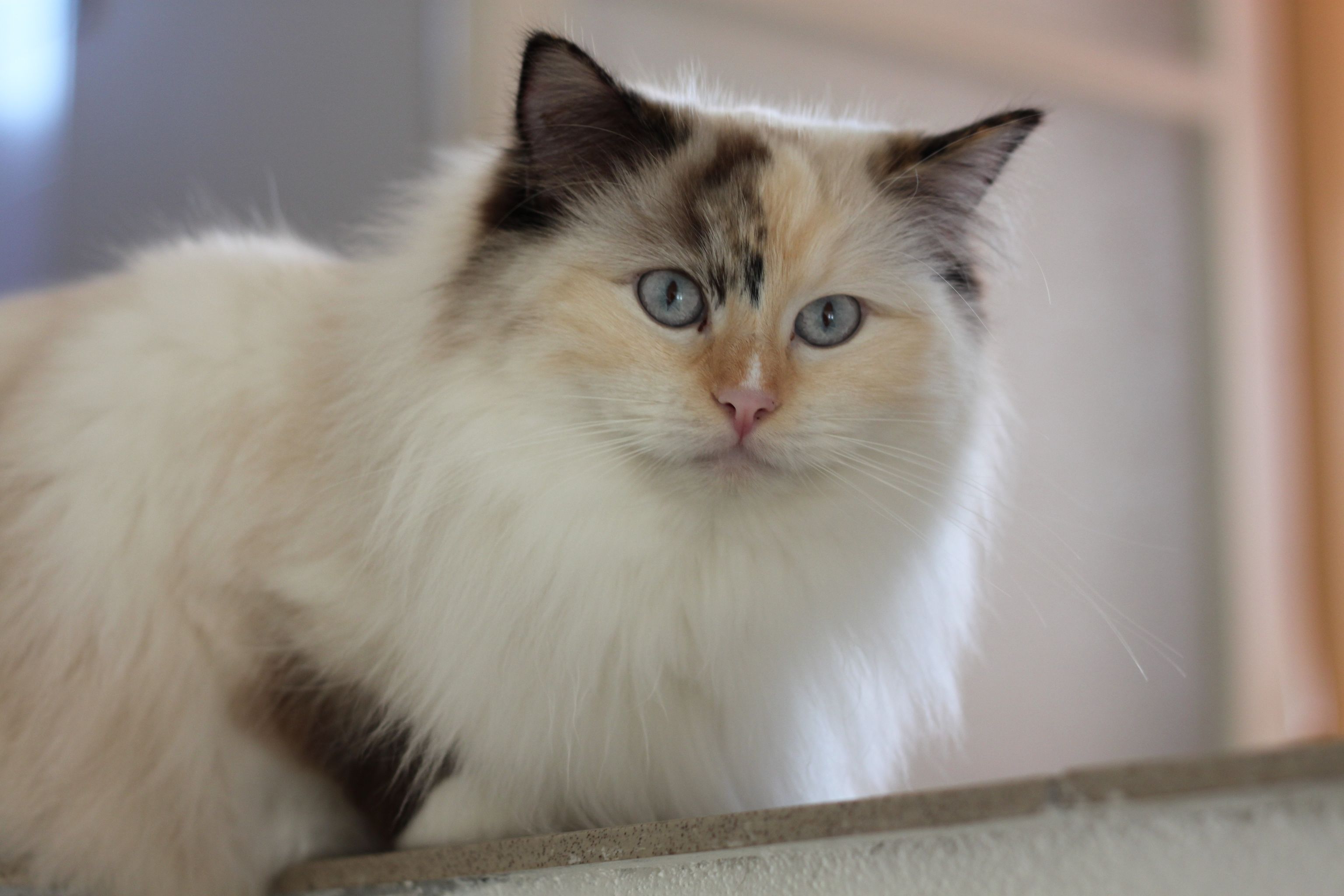 385559146_659692919644667_1824008177516477547_n