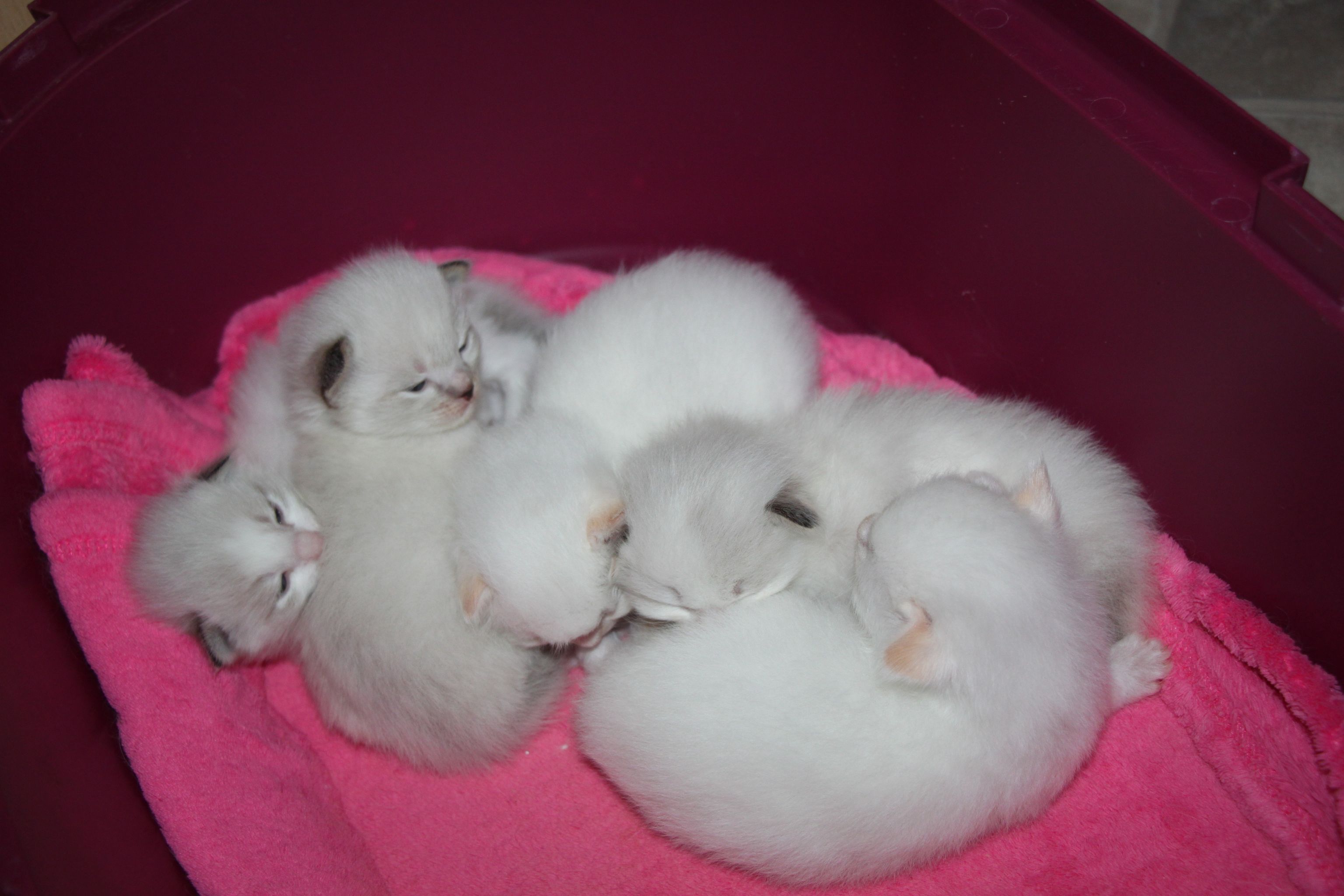 386843248_177747815383939_4174122660942076531_n