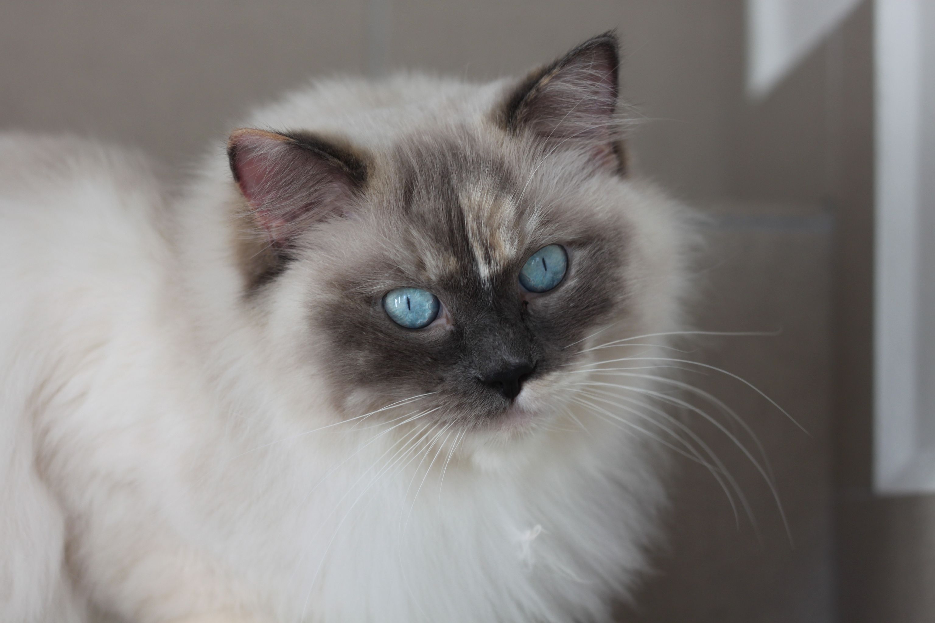 386856590_1523982725037608_8297925533872342255_n