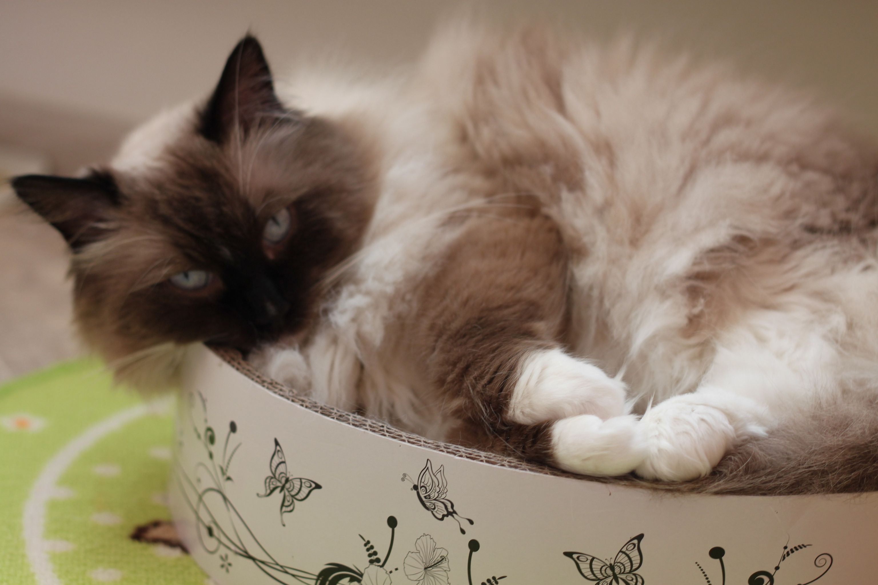 386873155_1022621325707028_5862209305545330748_n