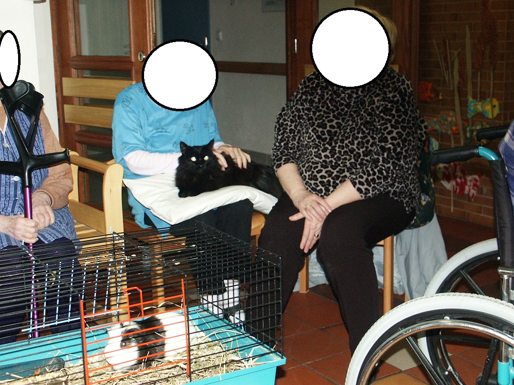 Felinoterapie 2004, Cipísek, SIB n