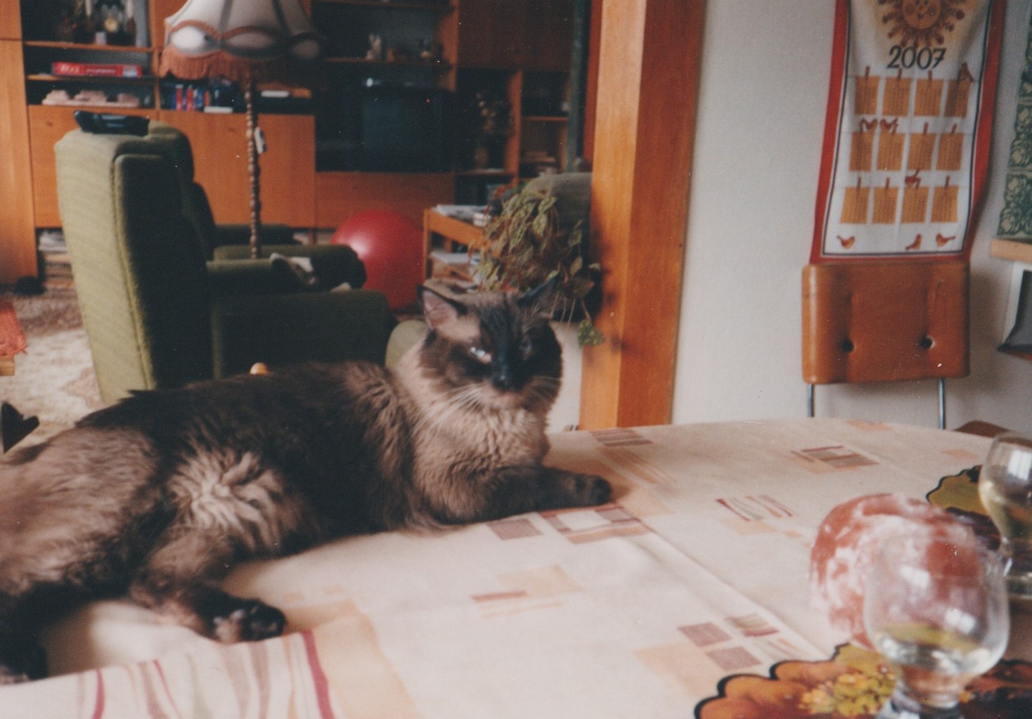 Wizard Síh - Stinny