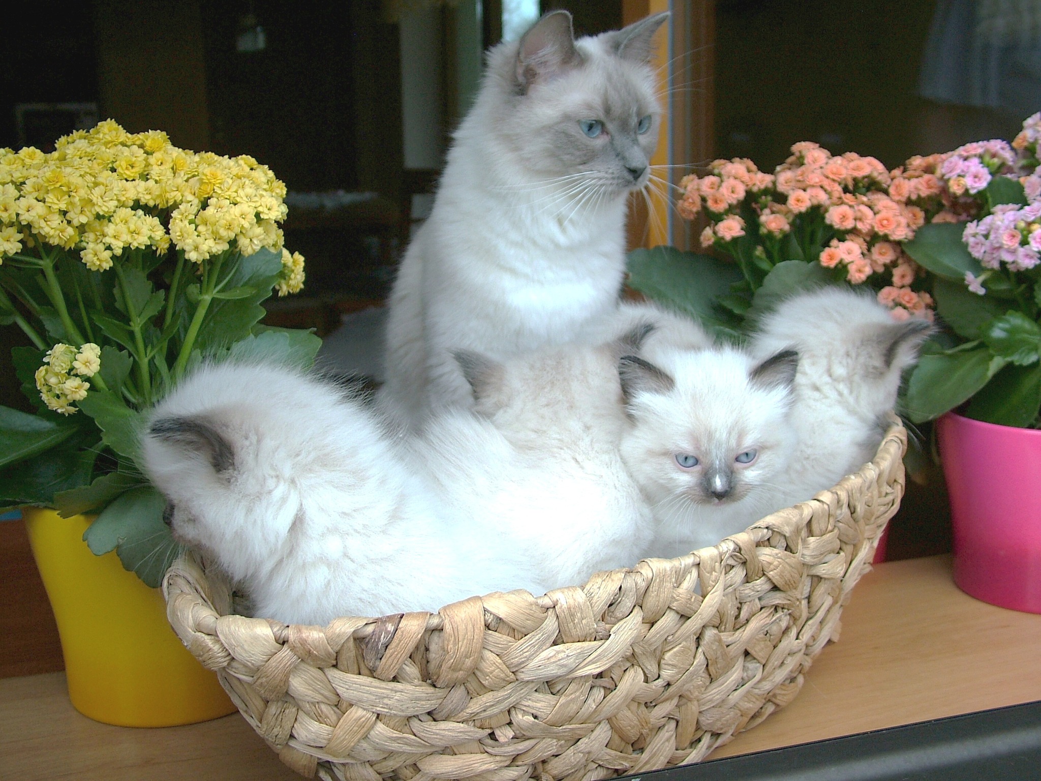 382844810_861332018896673_4152950198841004558_n