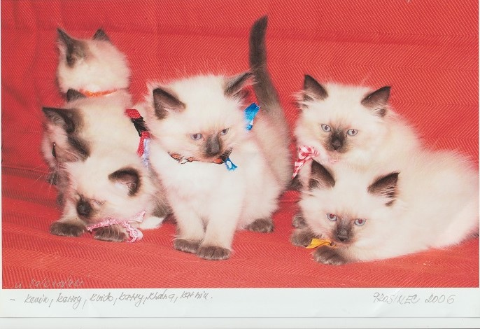 Skener_20230923 (17)