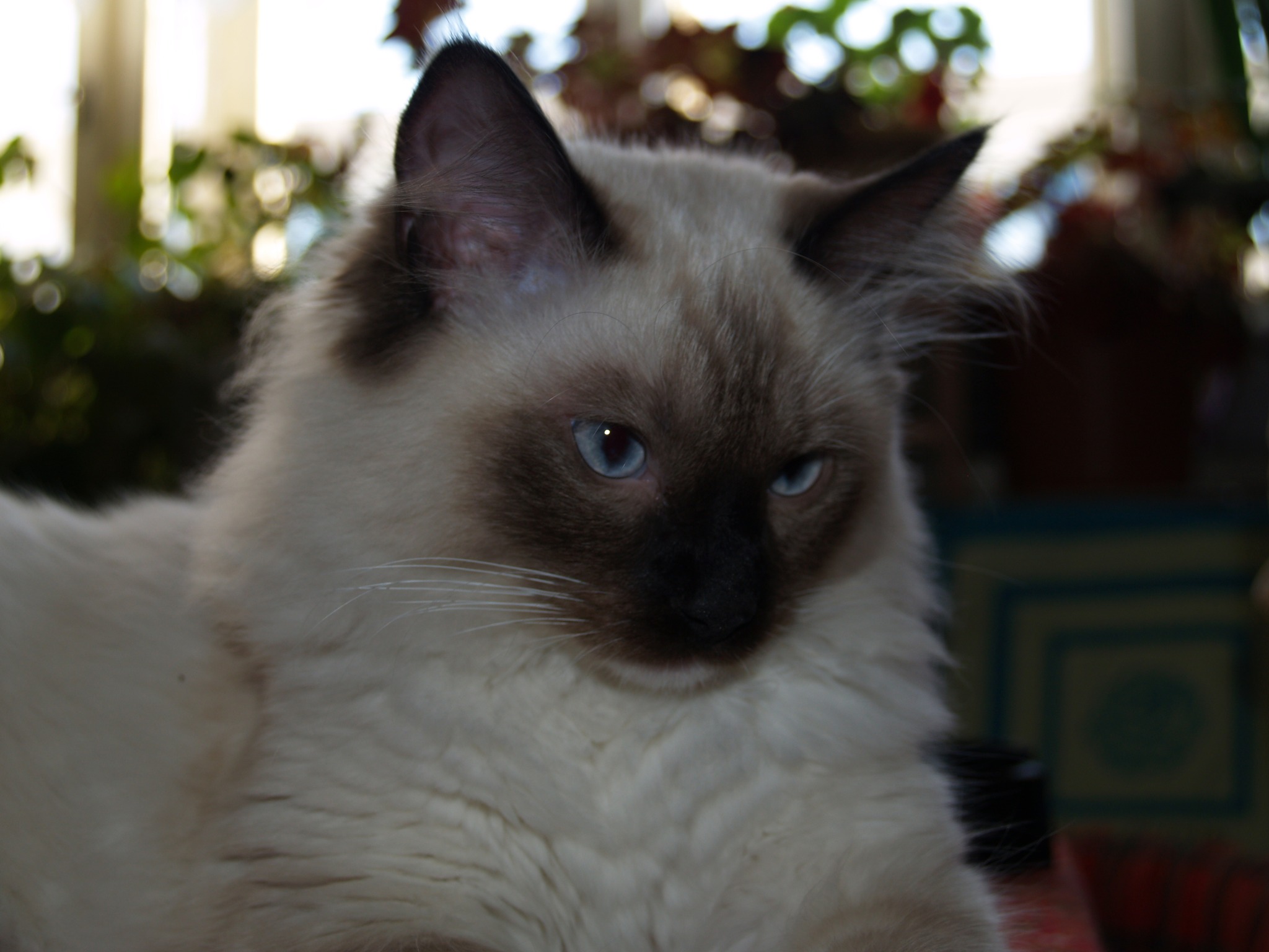 380053849_861337722229436_4268814194275248785_n