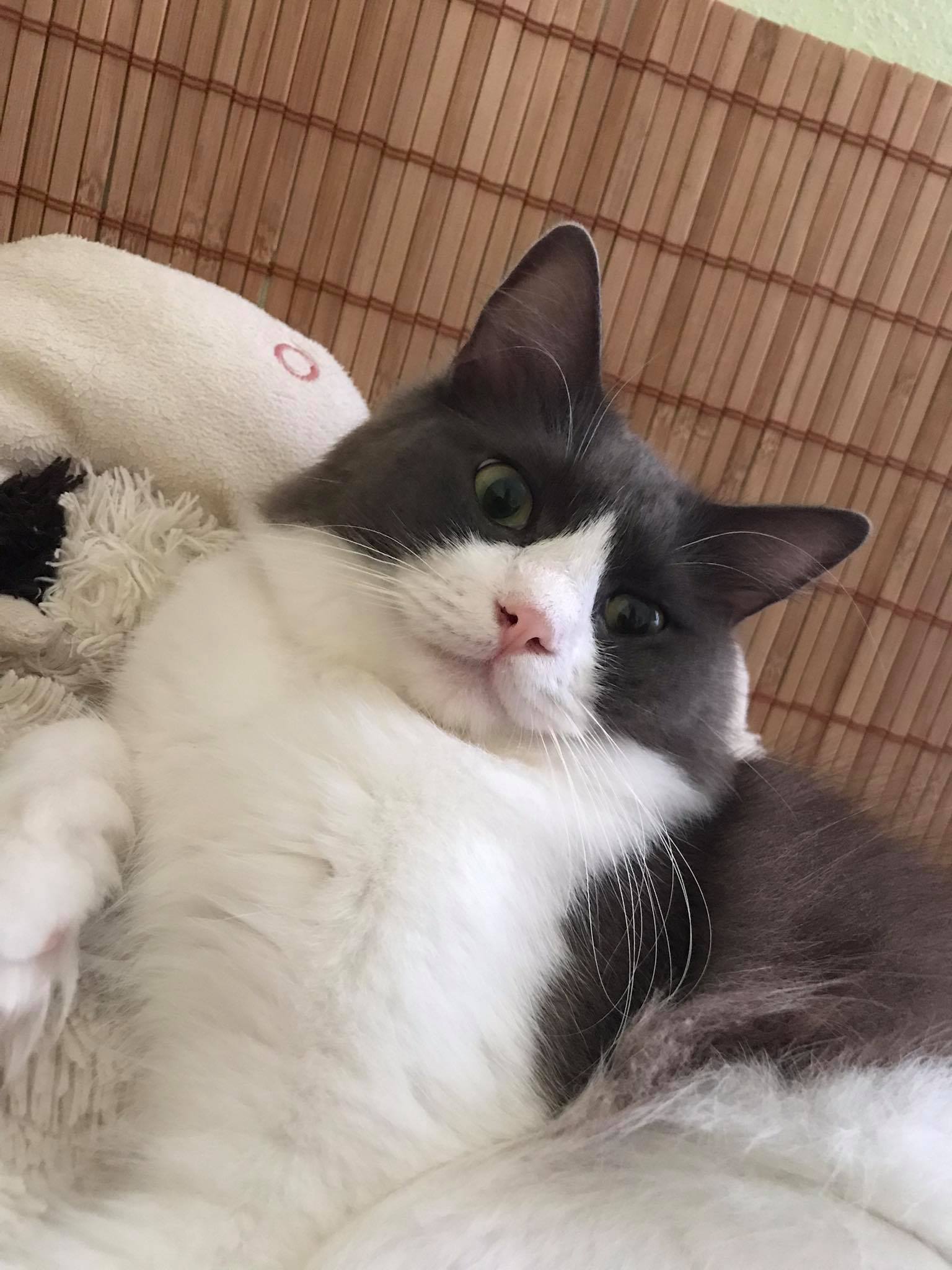 382112034_860511622312046_5960322147498845191_n