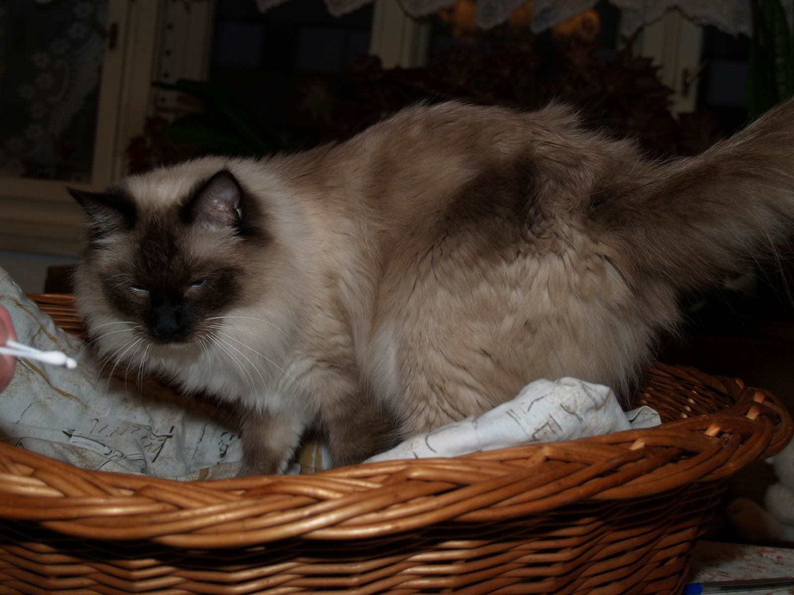 382713997_861337465562795_4966466769414001731_n