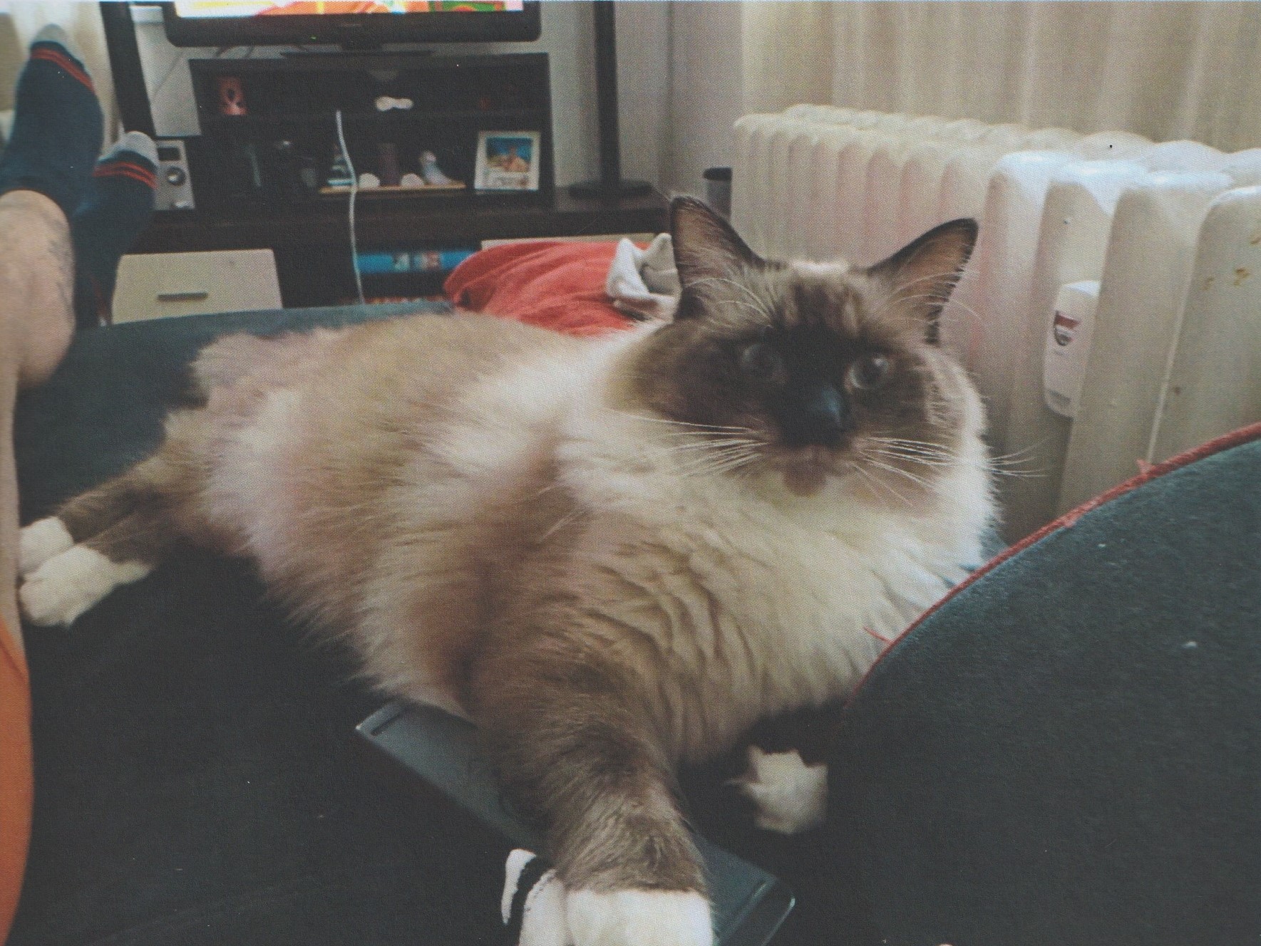 Daniel Síh RGM n 33 04