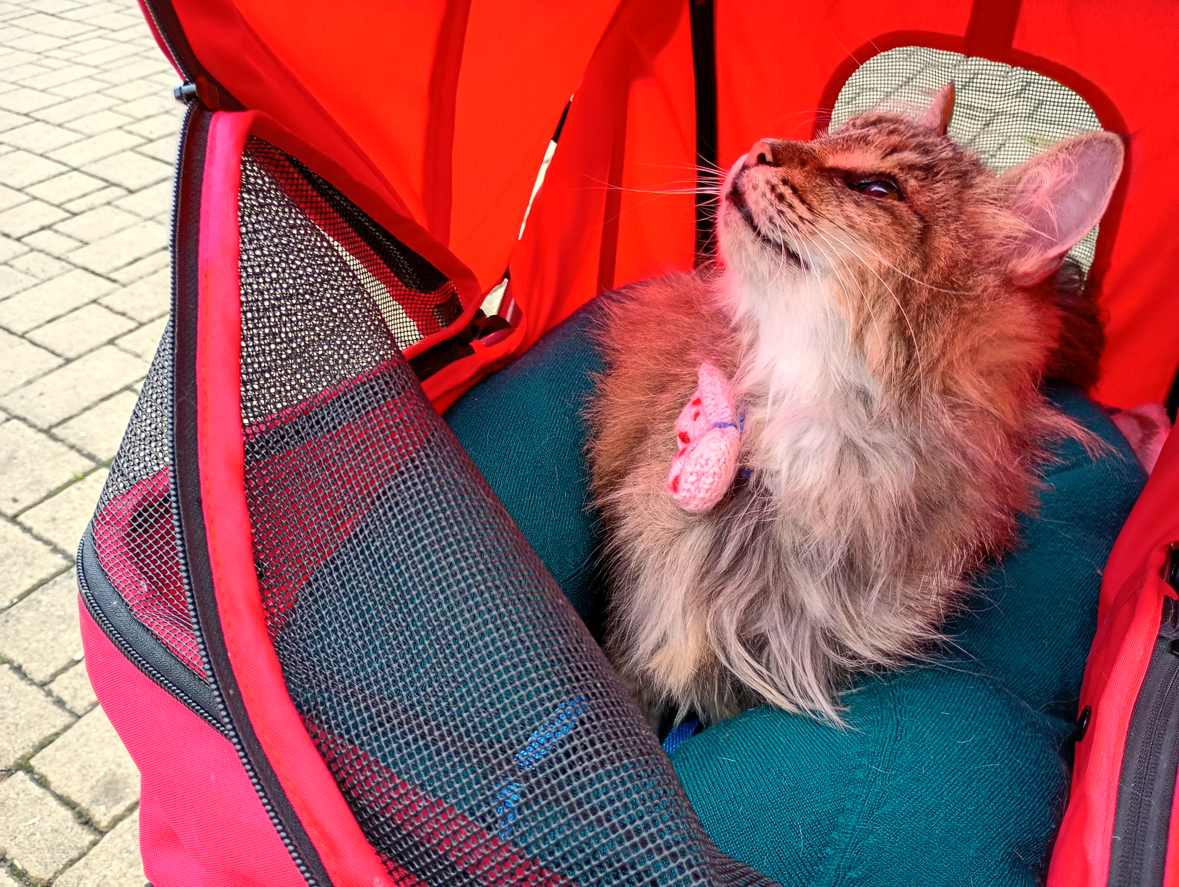 IMG_20250914_132554629_HDR