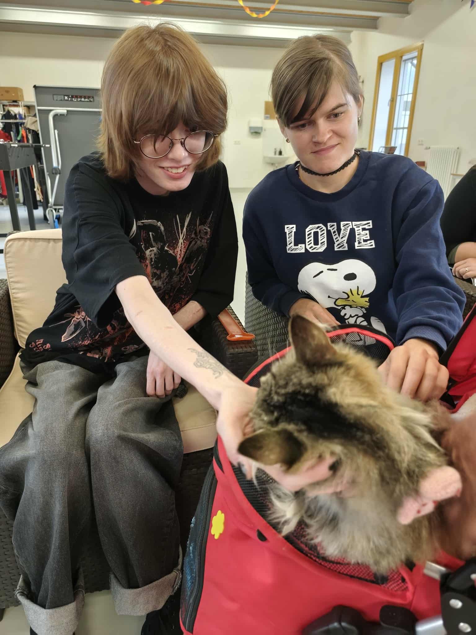 833642e1-5258-4814-94d5-29bd7029a70e