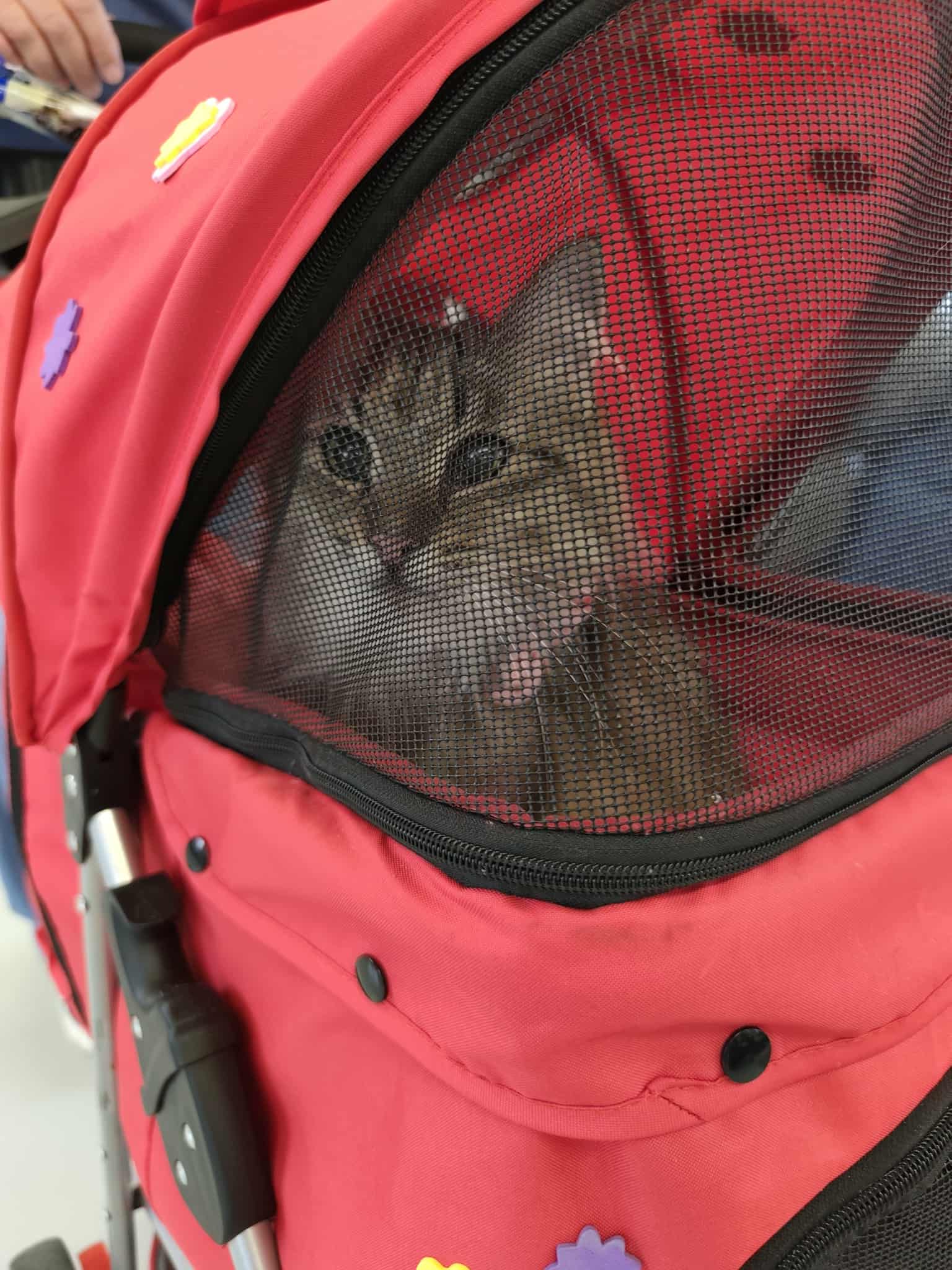 b8ffc767-7302-4ebb-bb39-889dac90b554