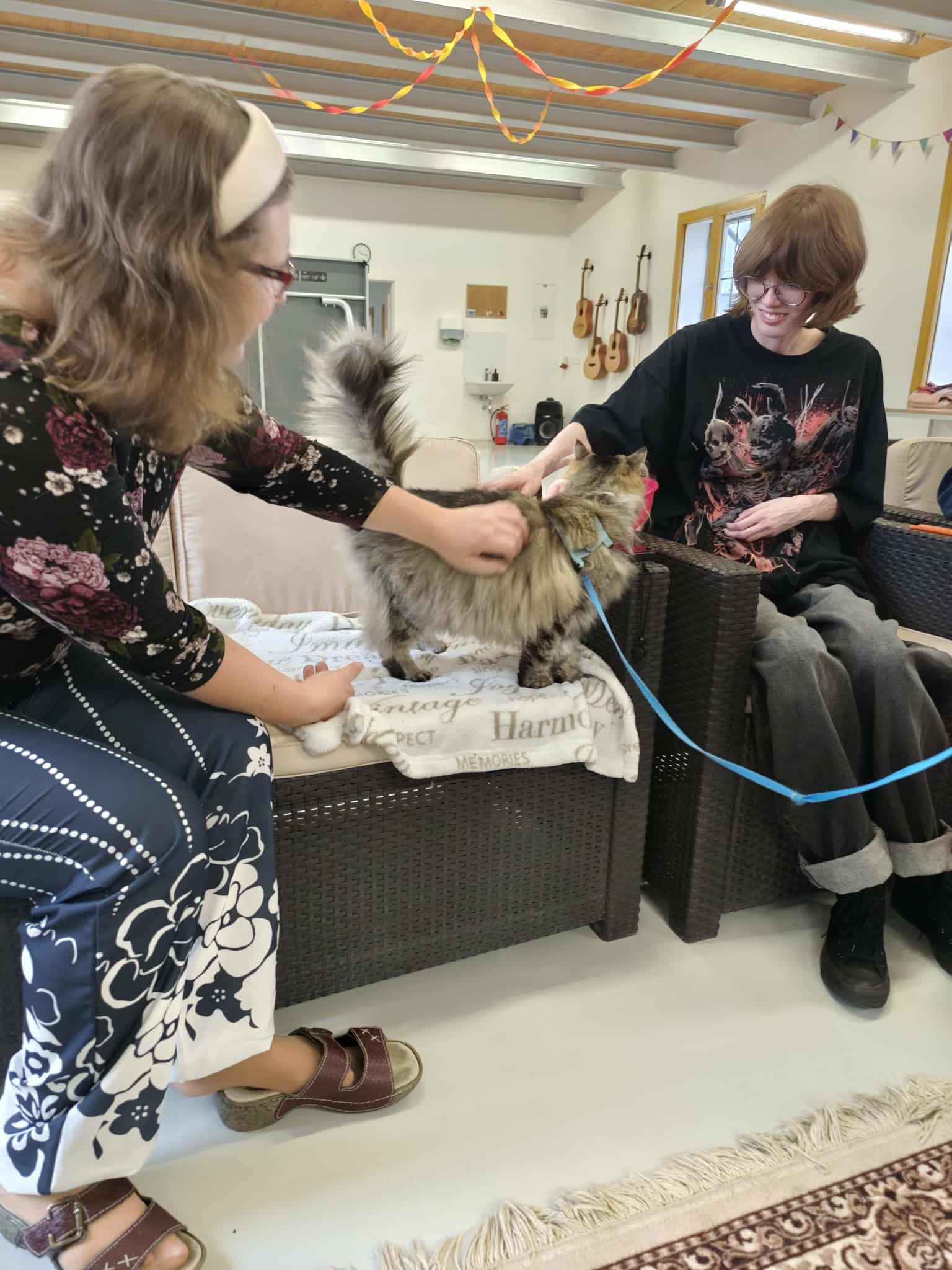 a0e16ccb-95f8-4e1b-a7d0-49e07233b417