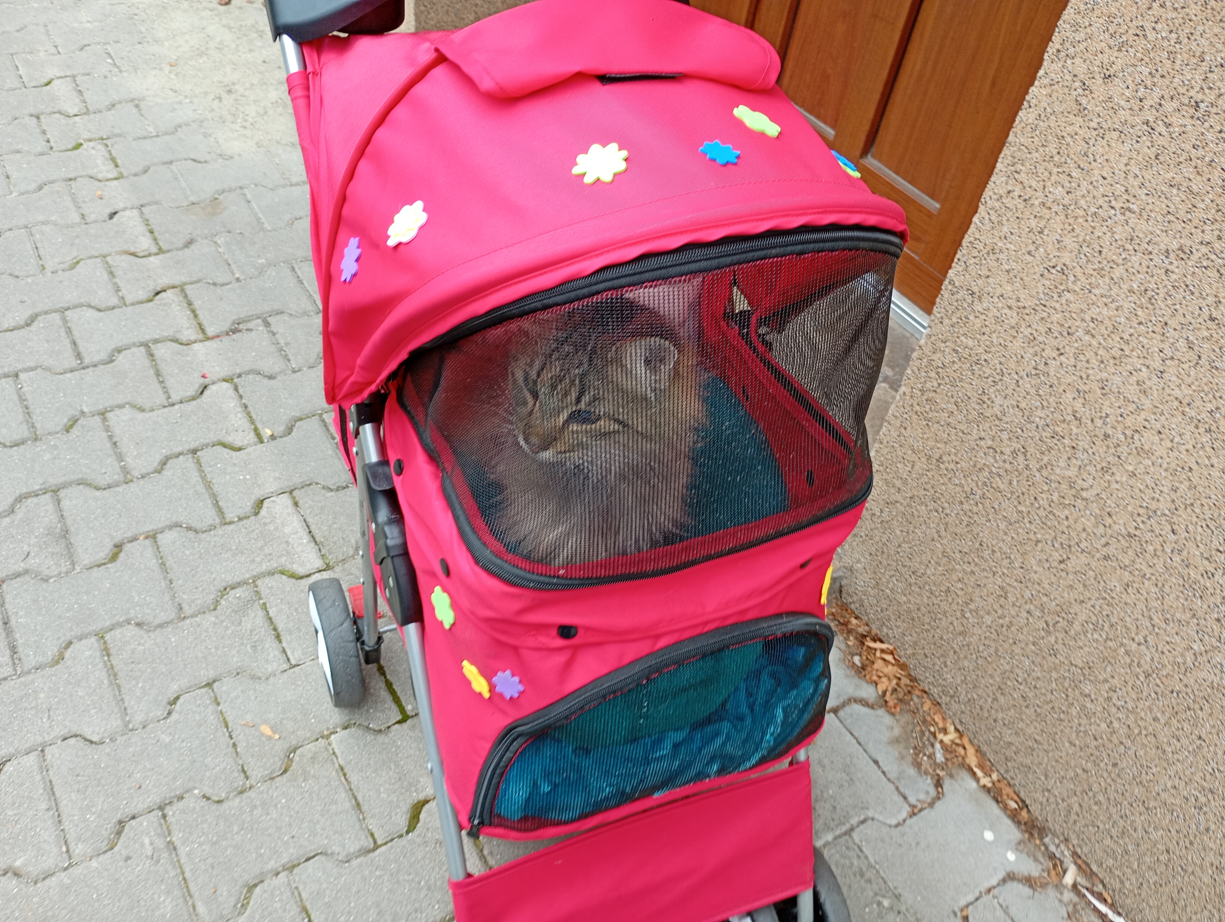 IMG_20250922_113247600_MFNR