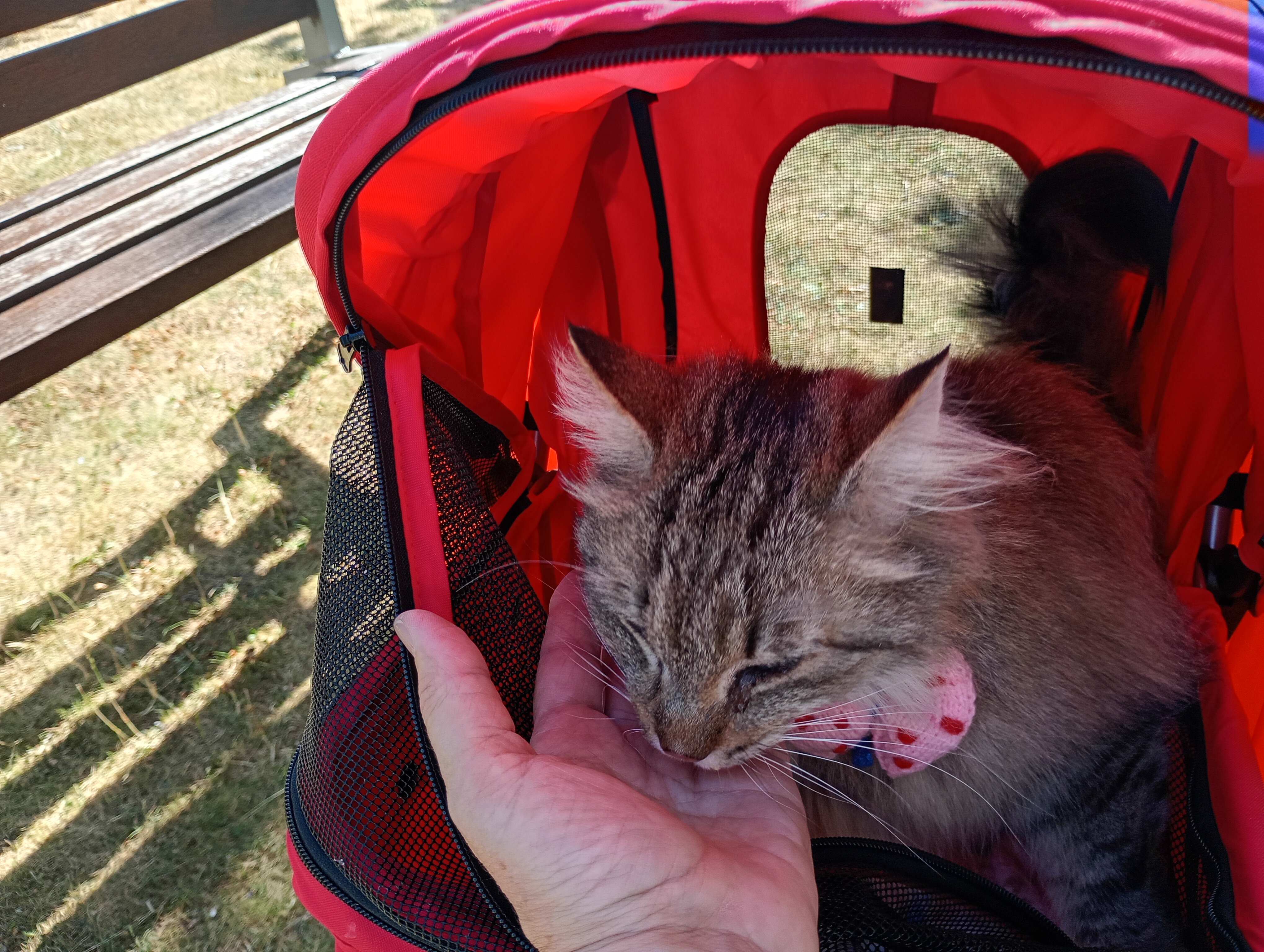 IMG_20250704_100230907_HDR