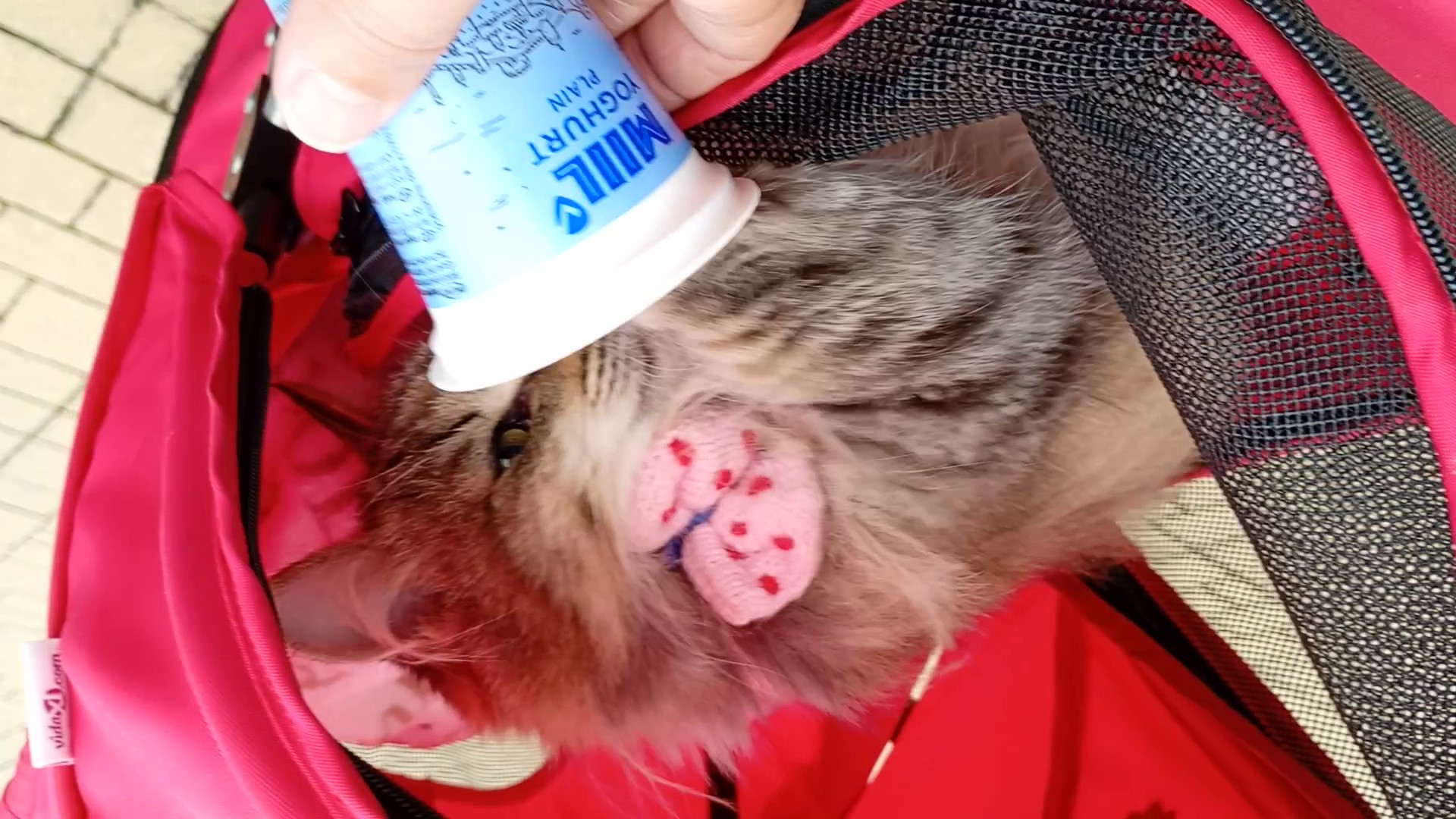 VID_20250923_124645454 - frame at 0m5s