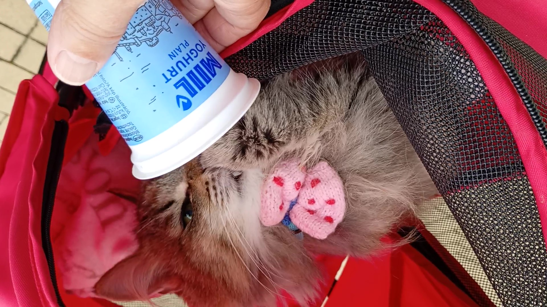 VID_20250923_124645454 - frame at 0m6s