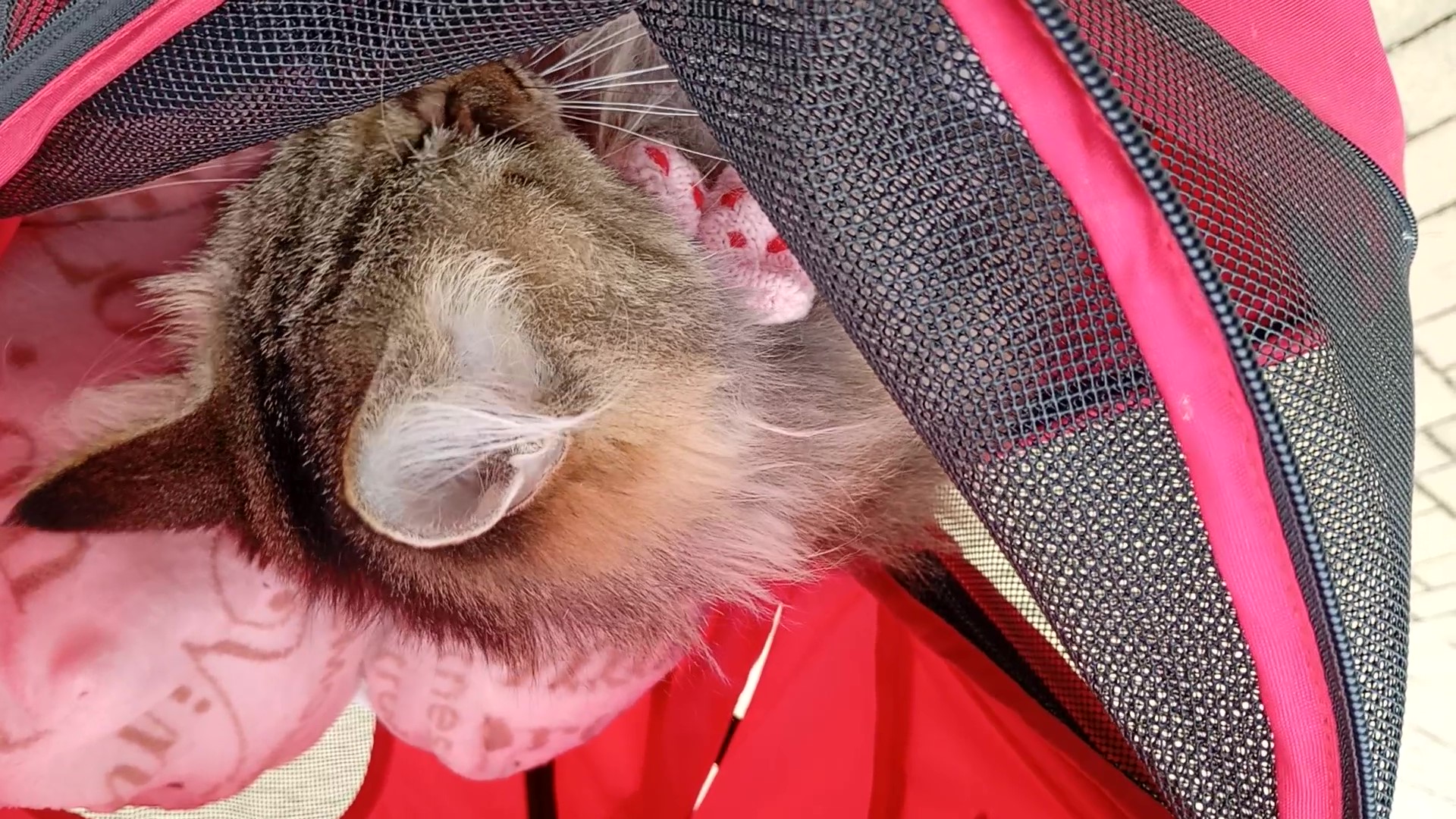 VID_20250923_124645454 - frame at 0m10s