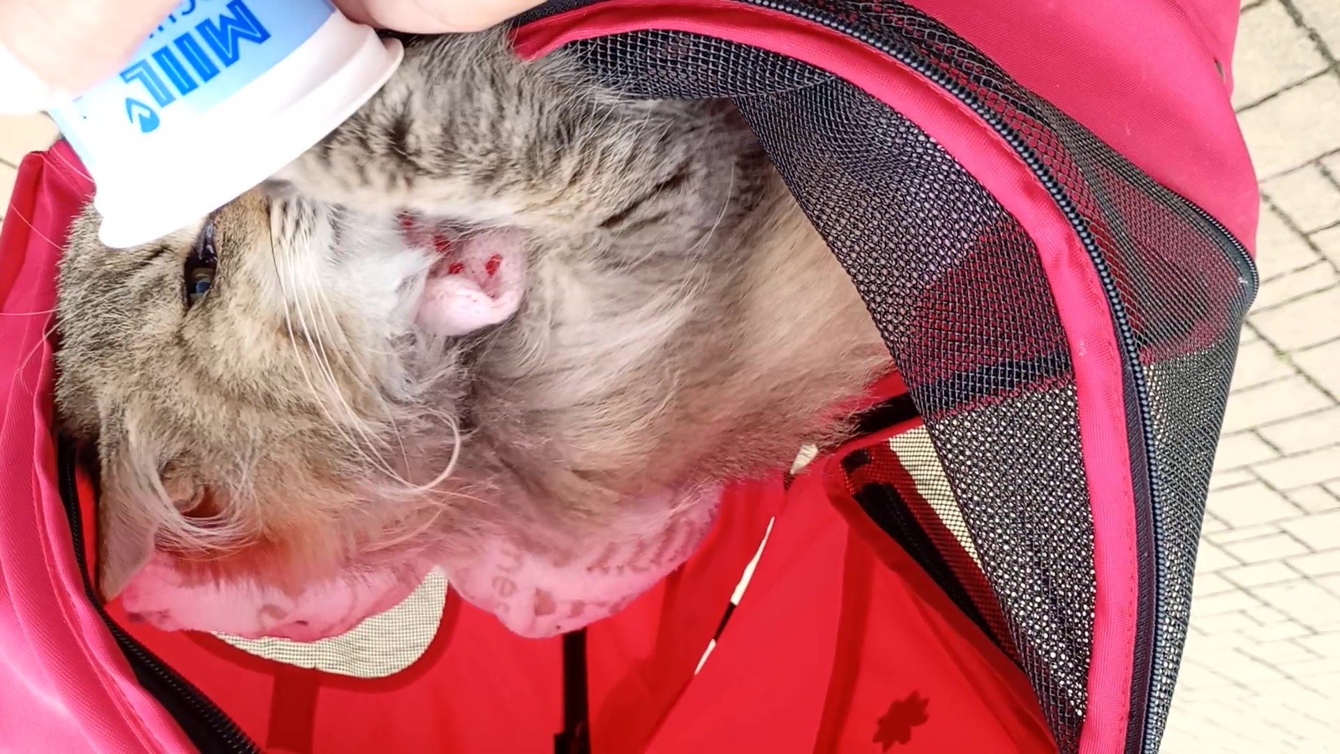 VID_20250923_124645454 - frame at 0m21s