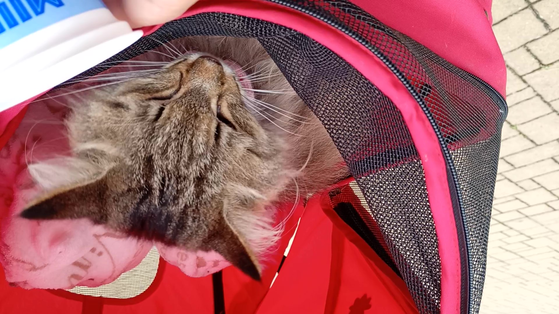 VID_20250923_124645454 - frame at 0m24s