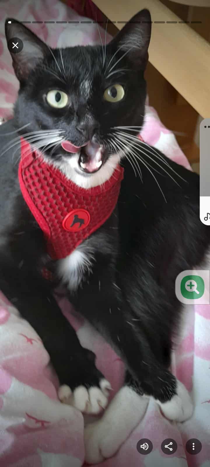 71c6ff81-9bc5-46f3-9c46-683b2b8362bd