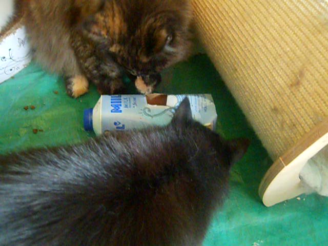 DSCN0126 - frame at 0m14s