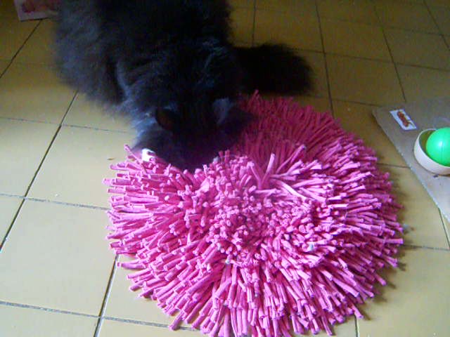 DSCN0396 - frame at 0m4s