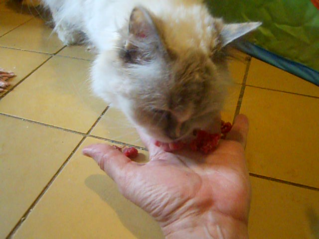 DSCN0657 - frame at 0m2s