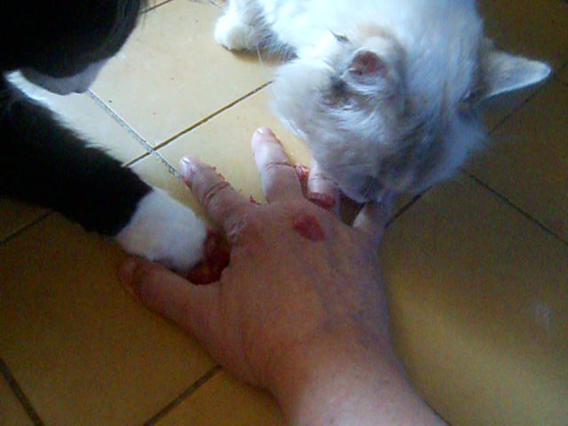 DSCN0728 - frame at 0m3s