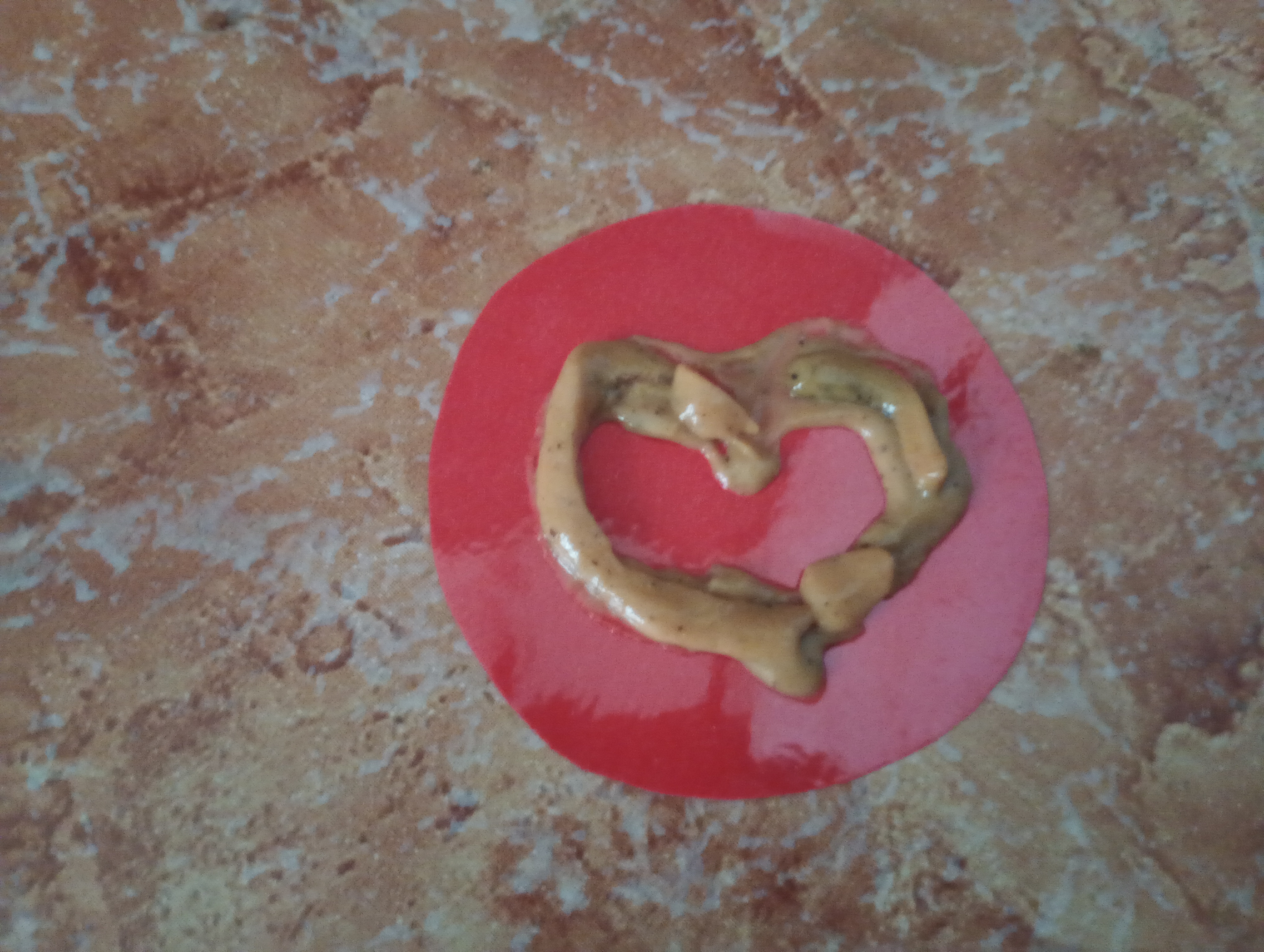 IMG_20251003_110841104_MFNR