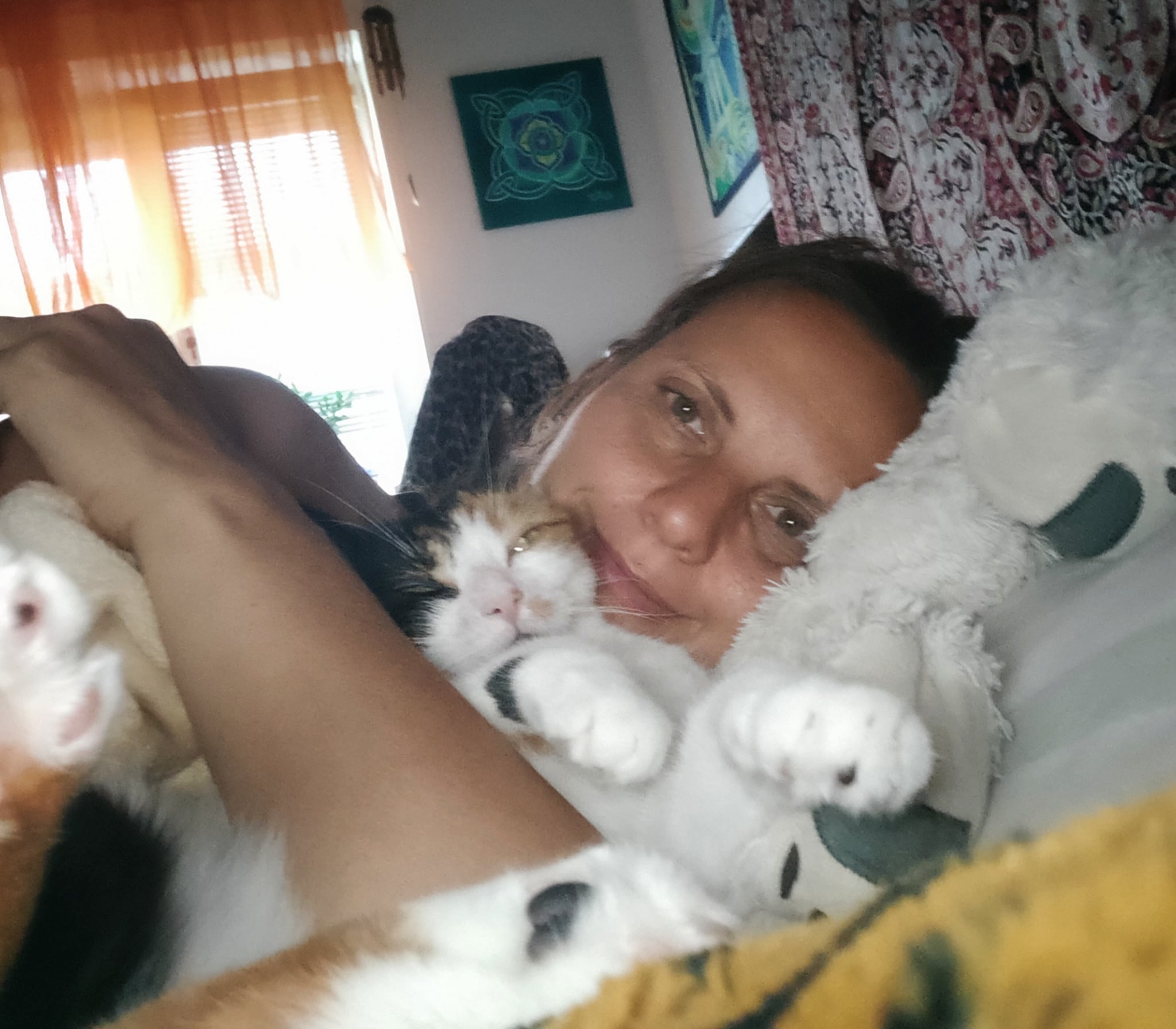 1be7c69c-9756-4ce6-827c-f8bdd49a638e