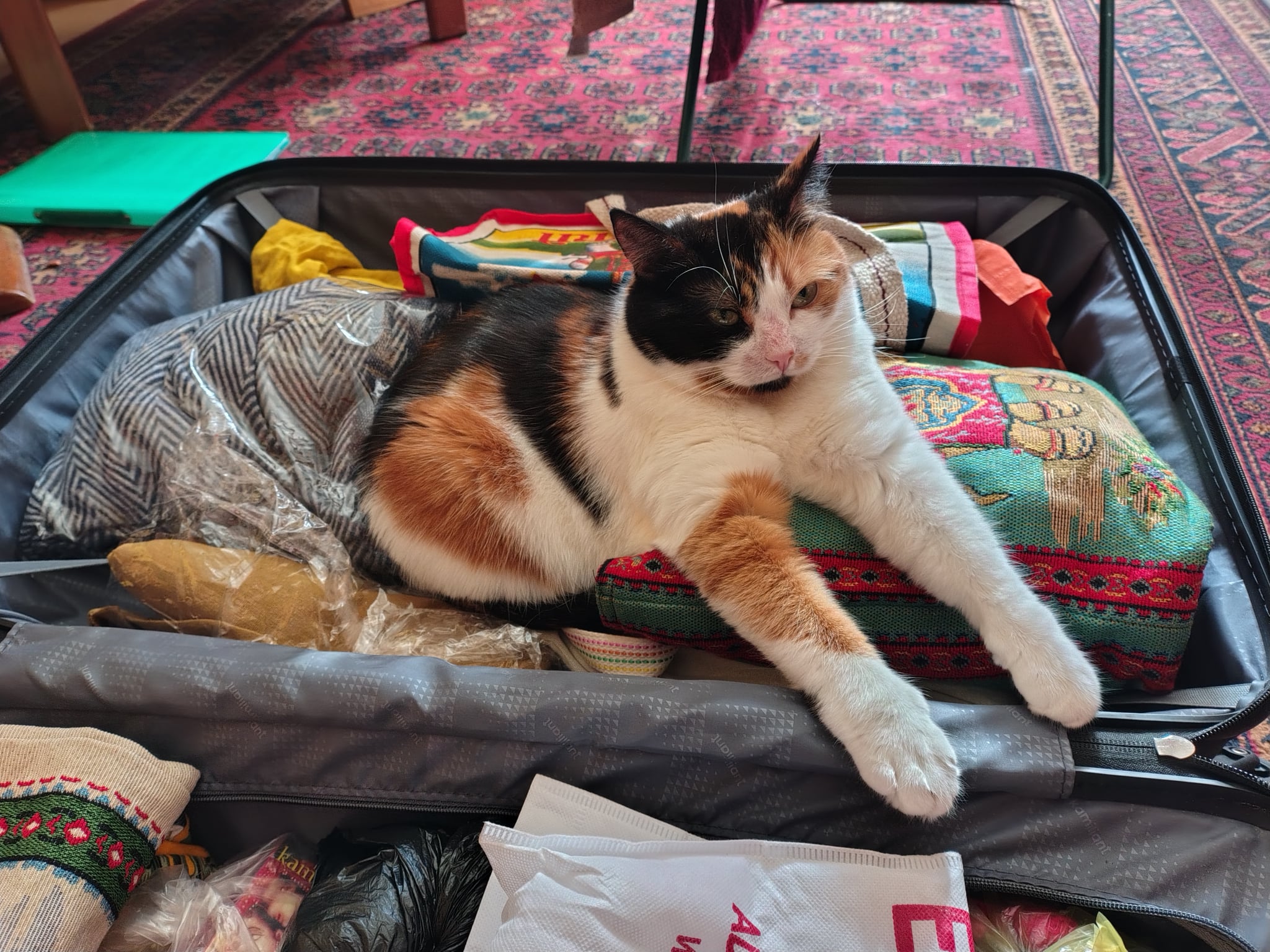 2defe003-1c5a-493c-8a3b-a1ff2f35eded