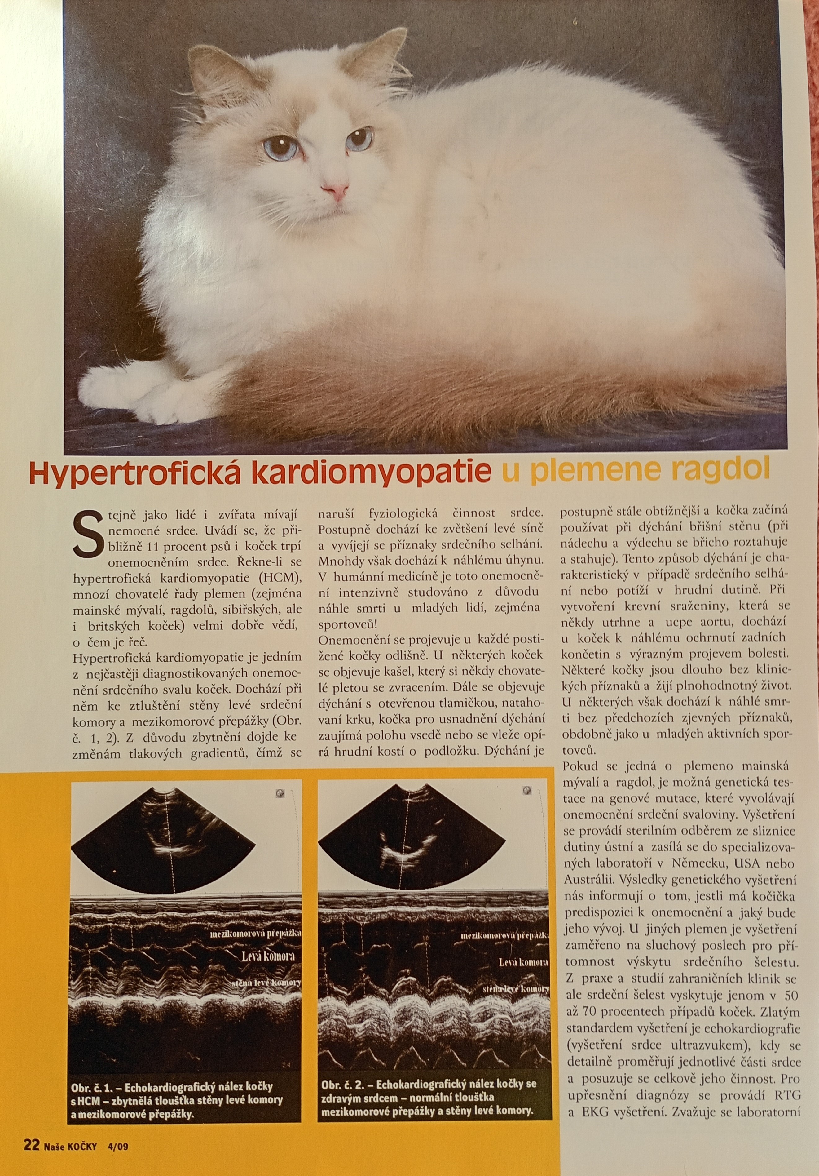 IMG_20251101_083403524_HDR