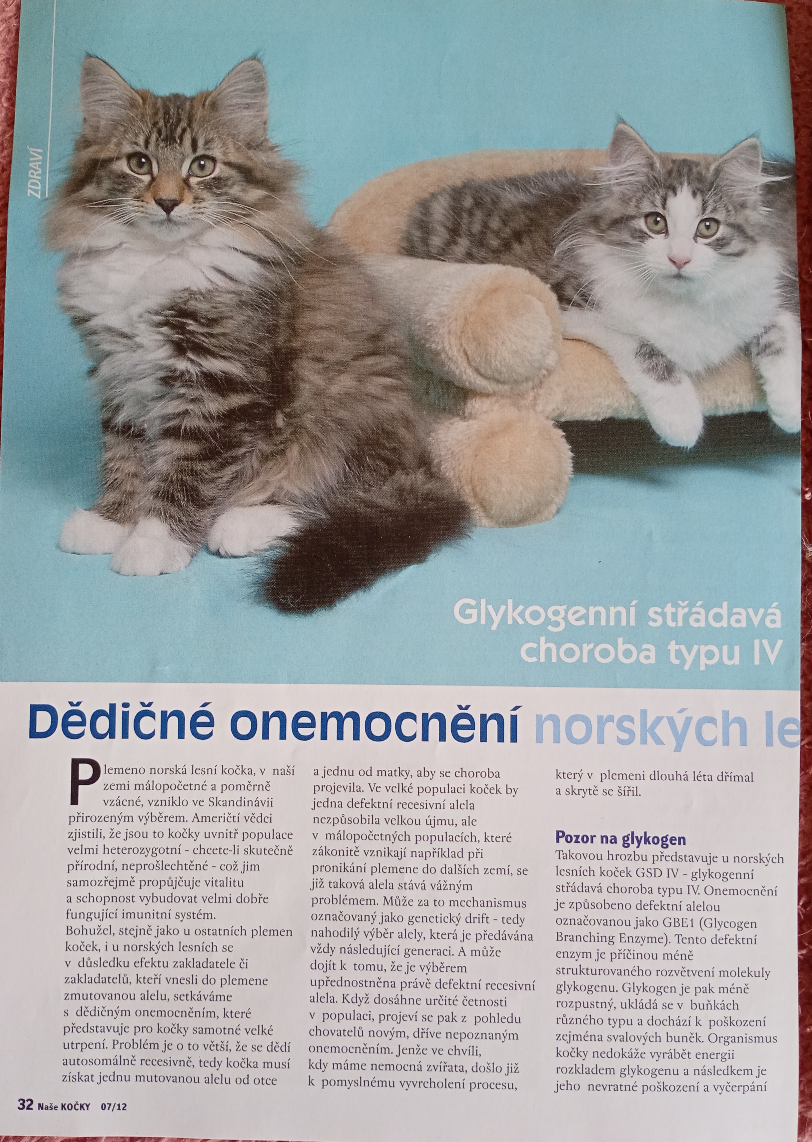 IMG_20251101_075244429_MFNR