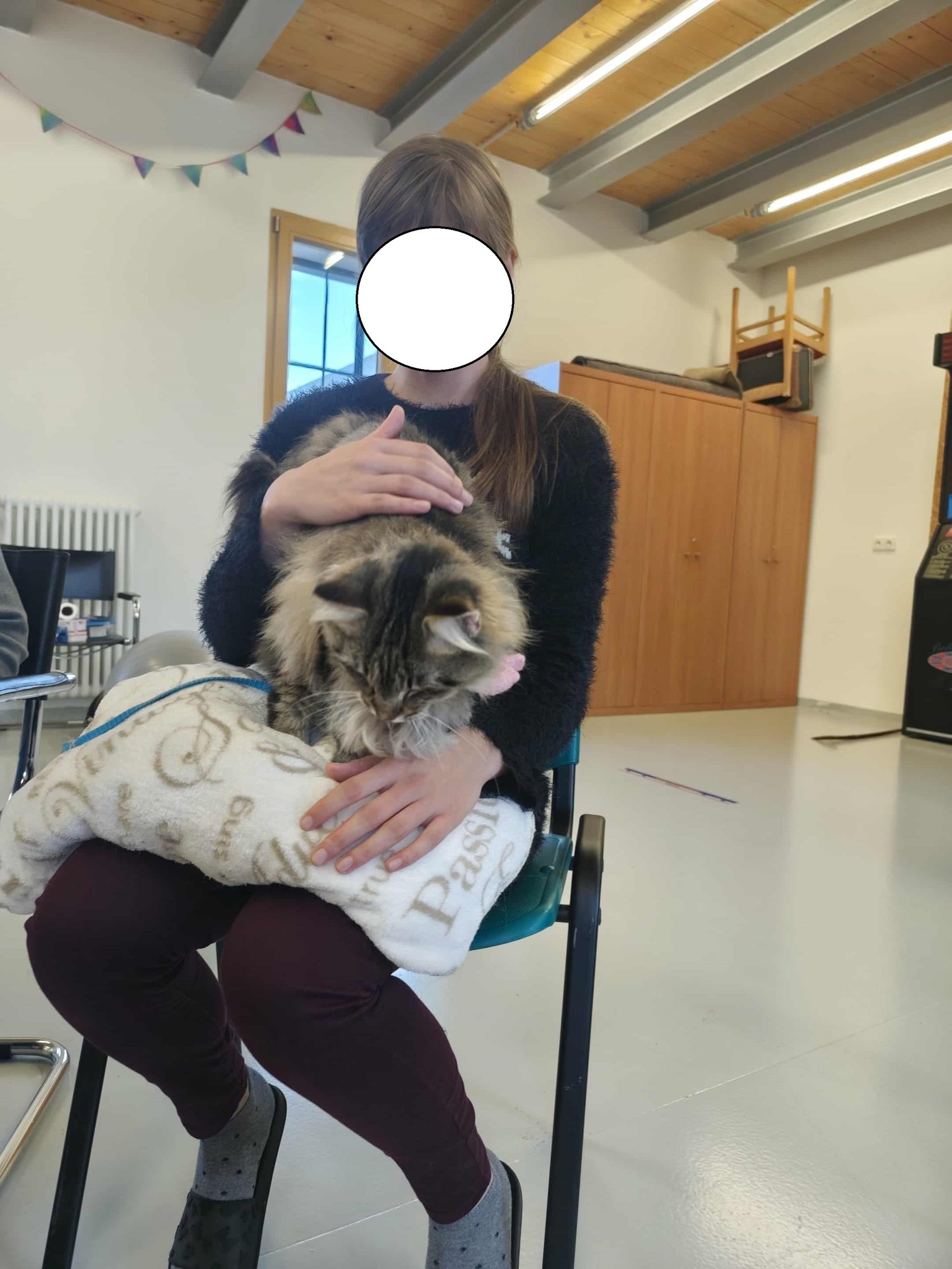 571170881_1372988304397706_360419305949151274_n