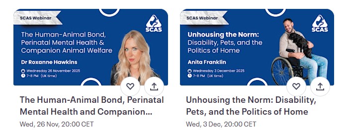 Snímek obrazovky 2025-10-24 082310